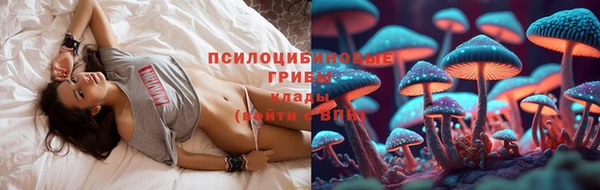 синтетический гашиш Богородицк