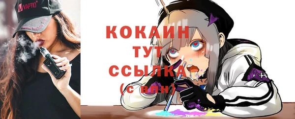 сатива Богданович