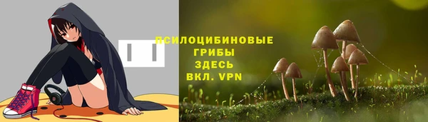 прущий лед Богородск