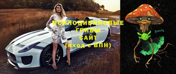 синтетический гашиш Богородицк