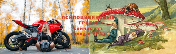 синтетический гашиш Богородицк