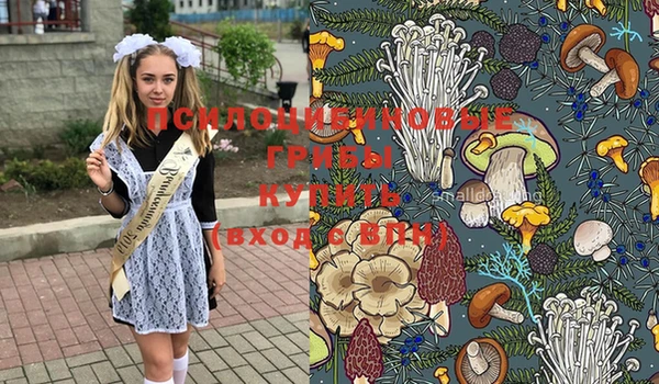 сатива Богданович