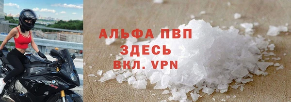 сатива Богданович